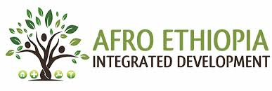 Afro Ethiopia Integrated development (AEID)